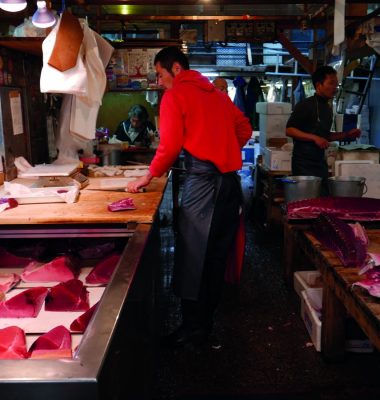 Emily_Seares_-_Tsukuji_Fish_Market_credit_Jennifer_Small Emily_Seares_-_Tsukuji_Fish_Market_credit_Jennifer_Small