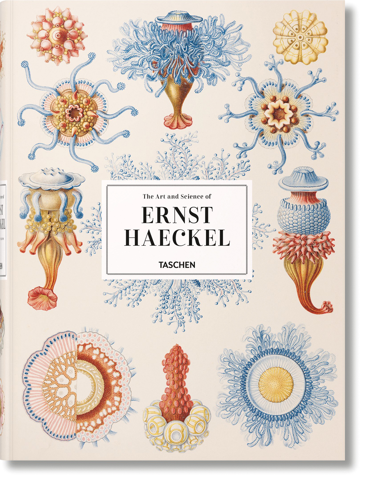 xl-haeckel-cover_01157 xl-haeckel-cover_01157